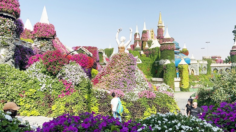 মরুর বুকে ফুলের বাগান